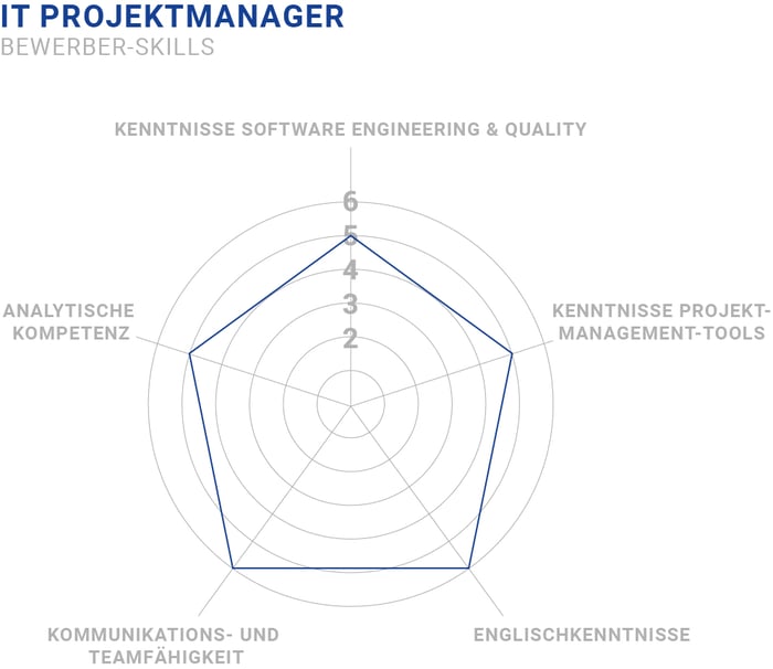 IT Projektmanager Skills