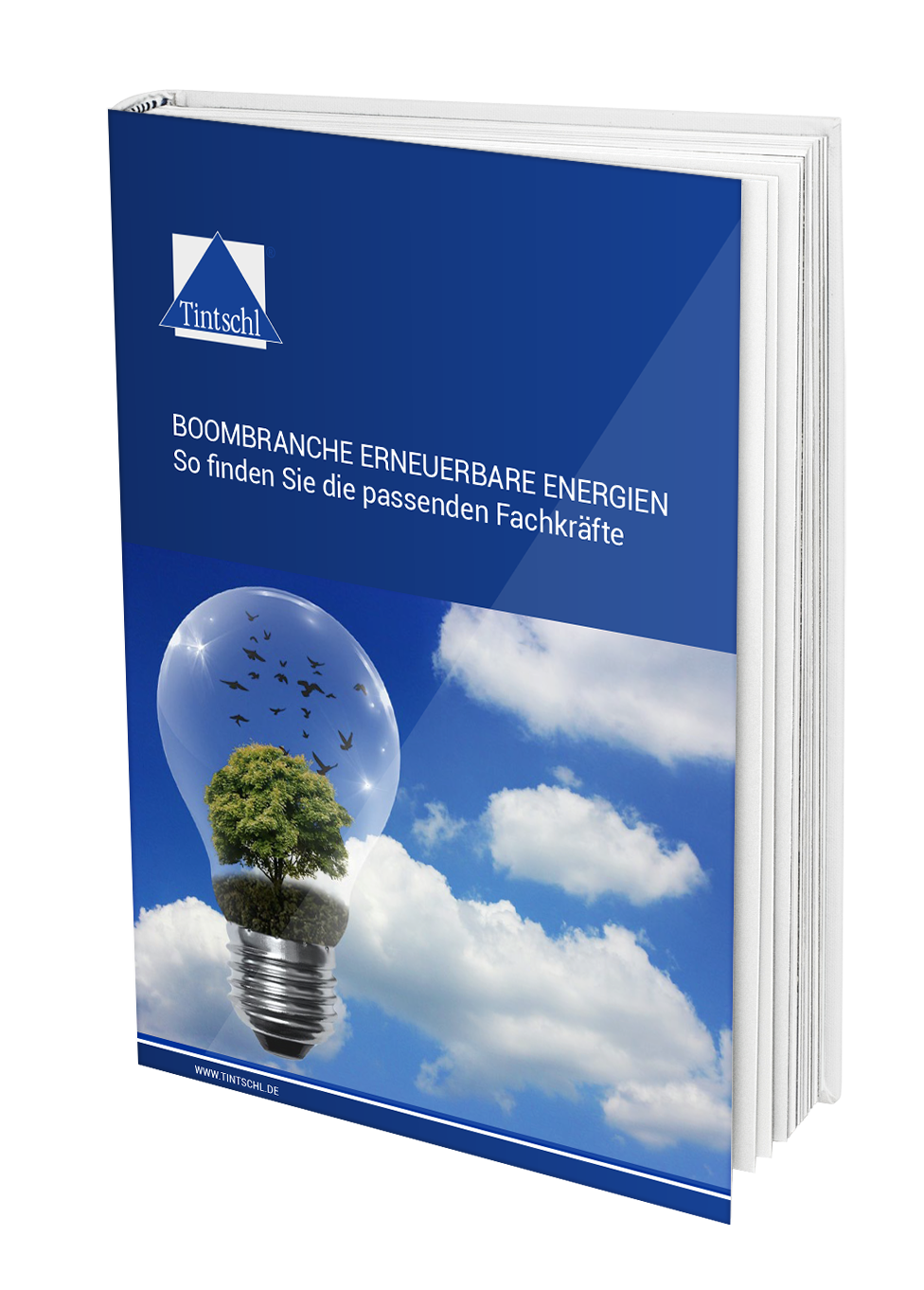 Boombranche Erneuerbare Energien