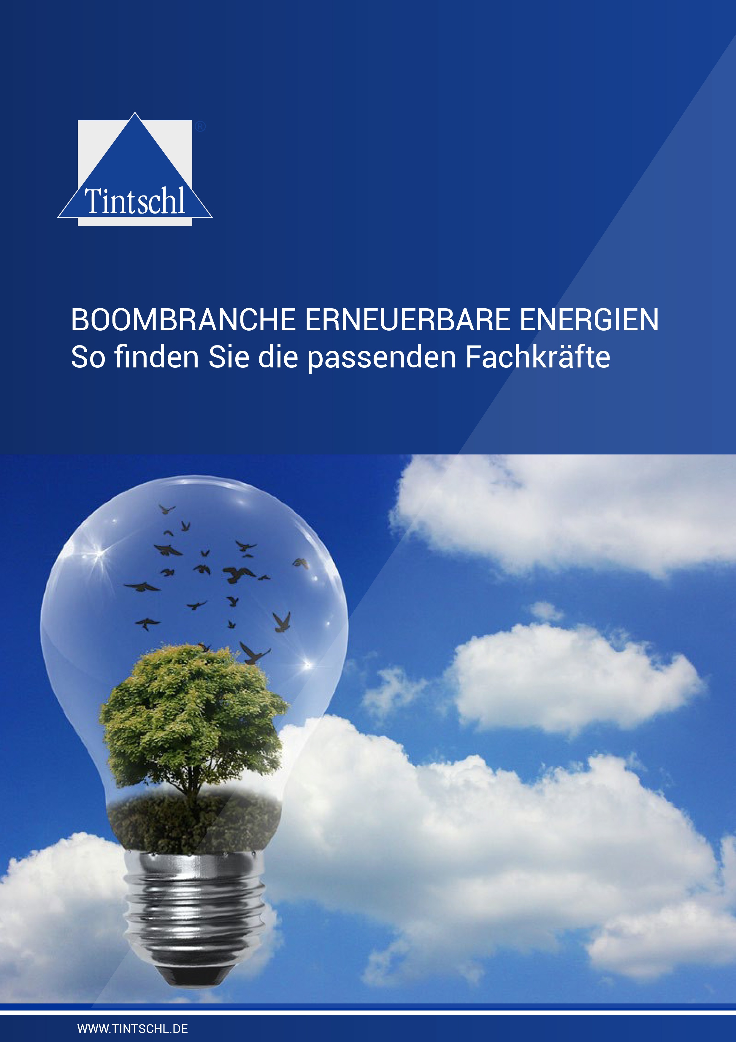 erneuerbare-energien