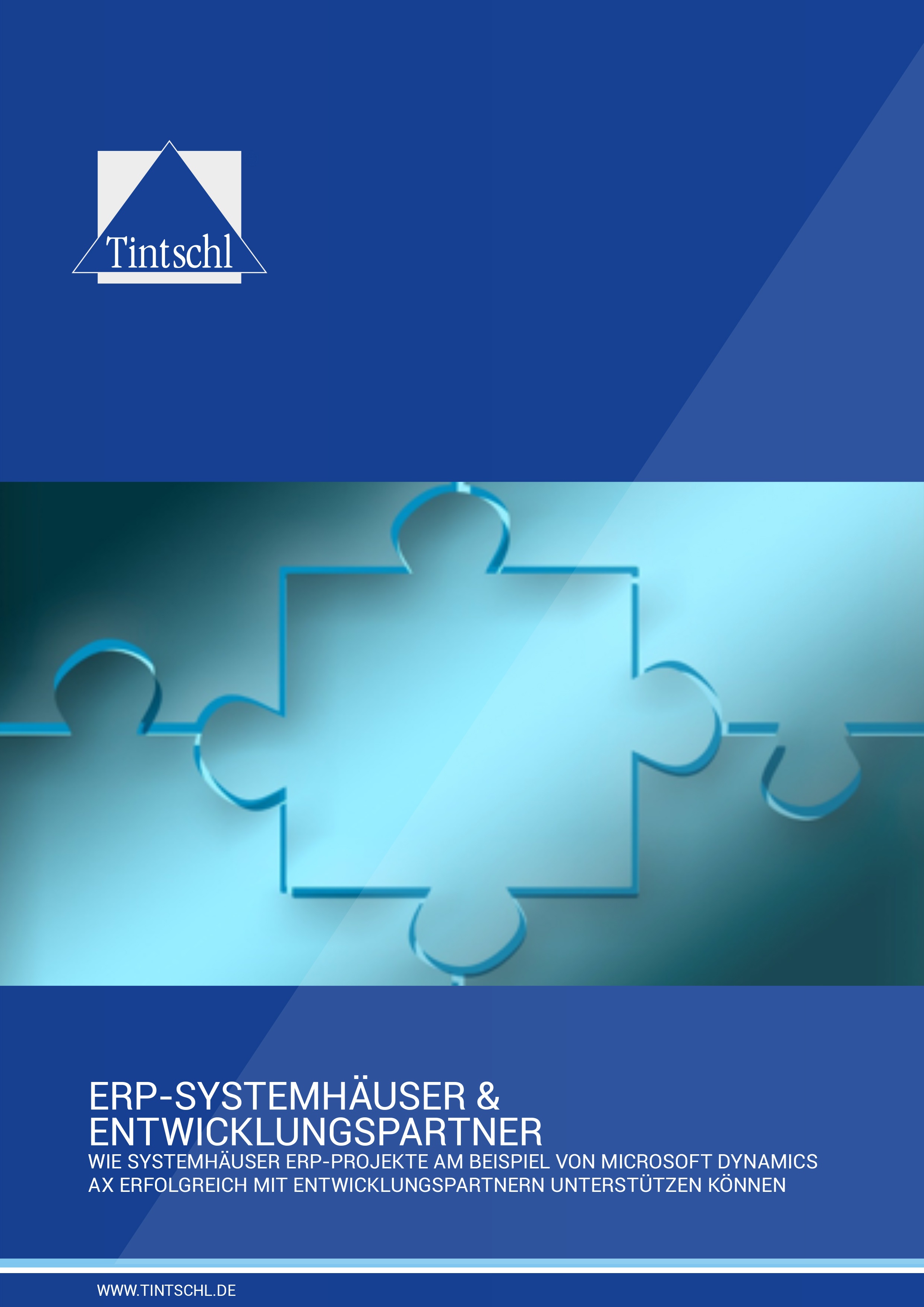 erp-systemhaeuser